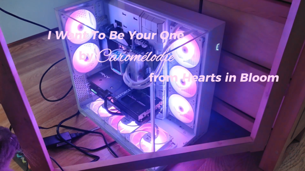 DUAL RTX 5090 AI WORKSTATION PC RYZEN 9 9950X3D 192GB RAM 8TB SSD