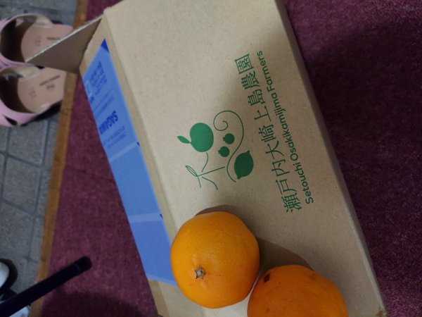 大崎上島のはるみみかん – 【産地直送お取り寄せ通販】トドクヨ
