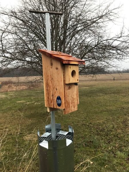 thumbnail image 2 of Bird House Metal Hole Guard, Metal Predator Protection For Birds | Predator Guard Hole Protector,Woodpecker Protection Panel For Home Decoration 2 of 9